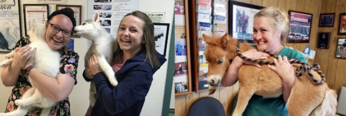 Judd Veterinary Clinic's cover image