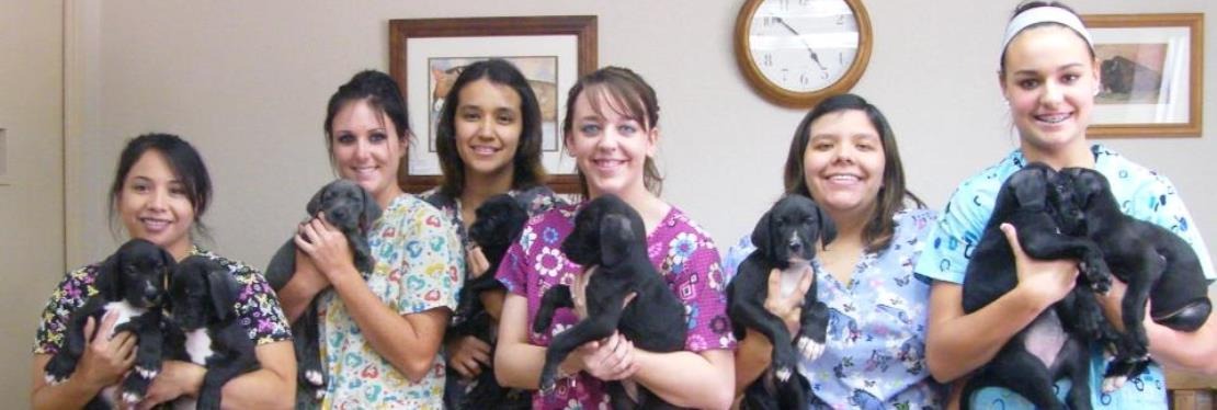 Highland Animal Hospital's cover image