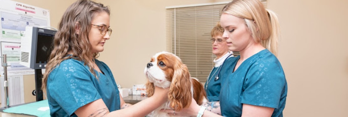 Veterinary Hospital at the Lake's cover image