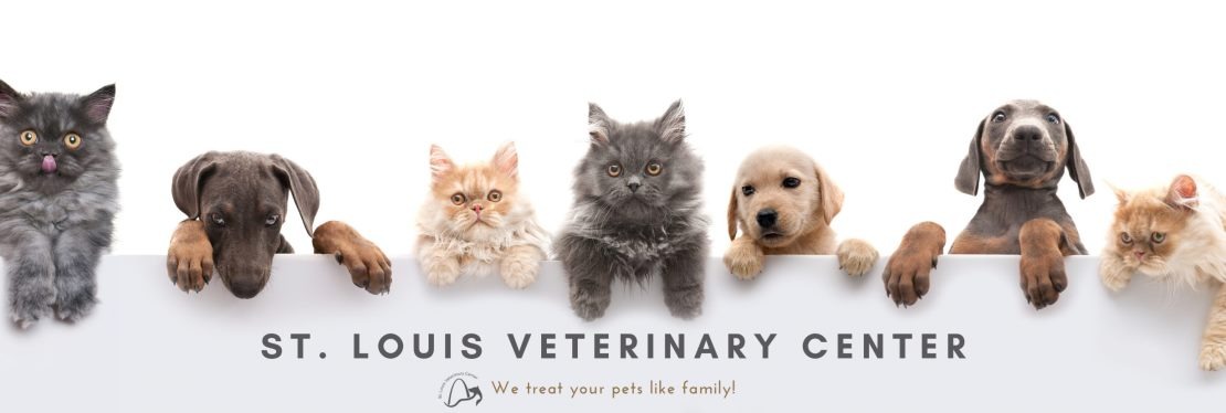 St Louis Veterinary Center's cover image