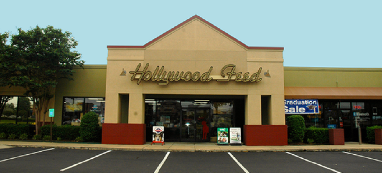Hollywood Feed's cover image