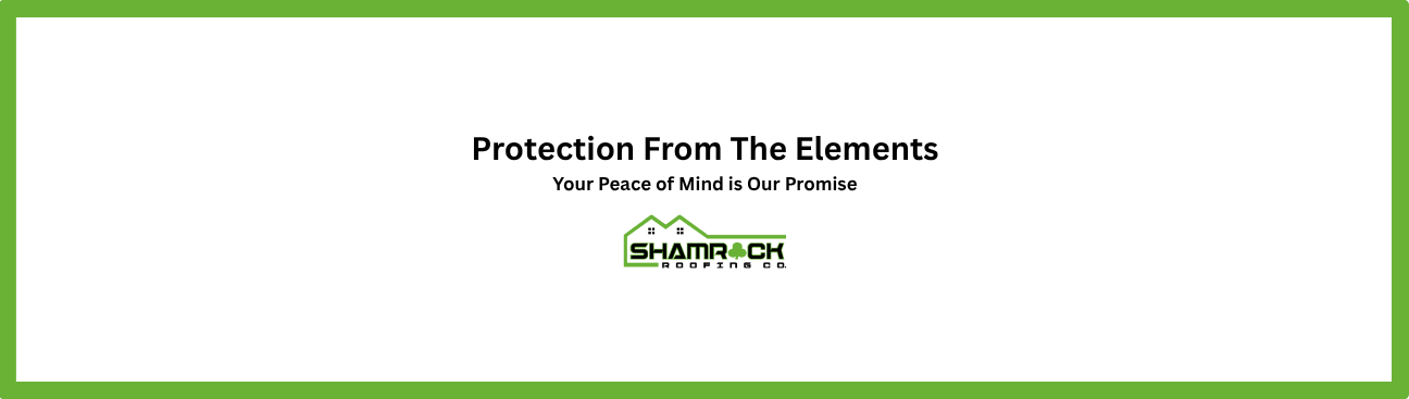 Shamrock Roofing Co.'s cover image