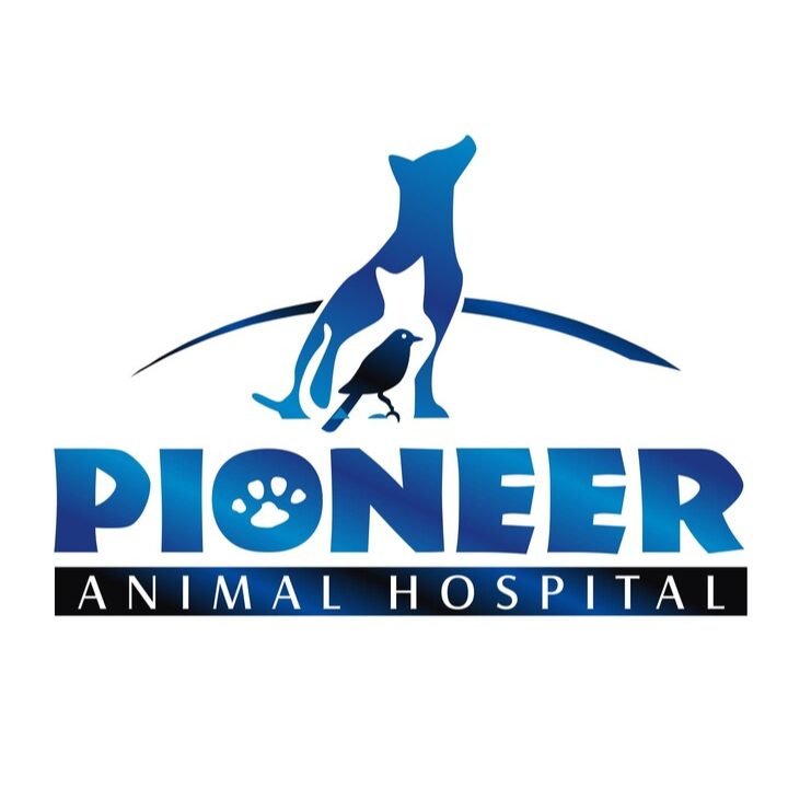 4. Pioneer Animal Hospital