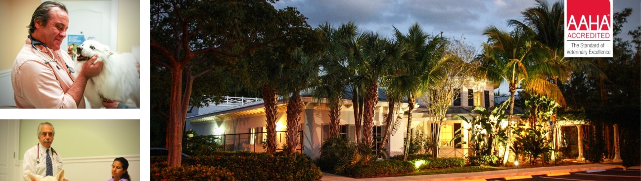 Calusa Veterinary Center's cover image