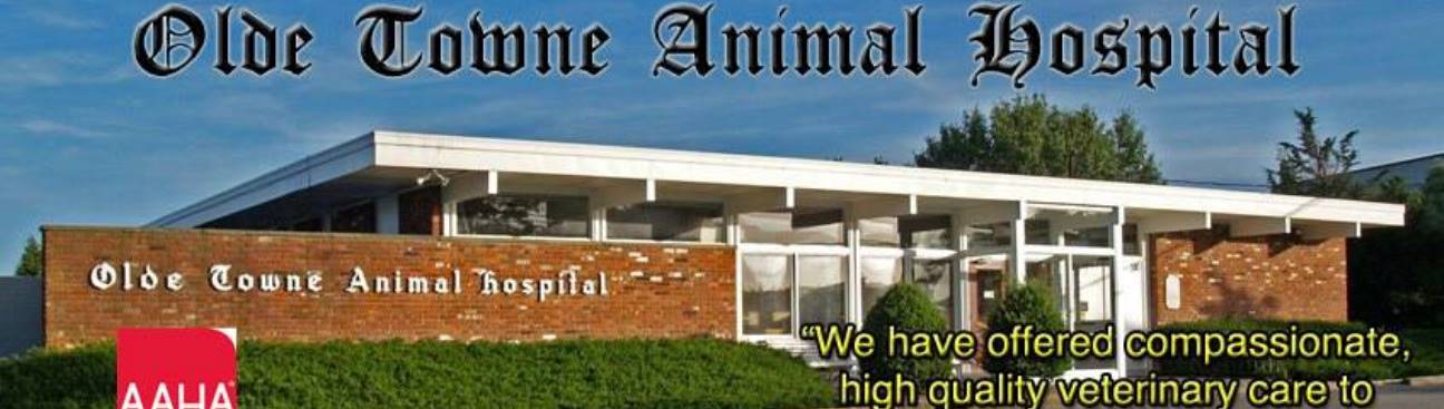 Olde Towne Animal Hospital's cover image