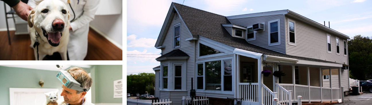 Borash Veterinary Clinic's cover image