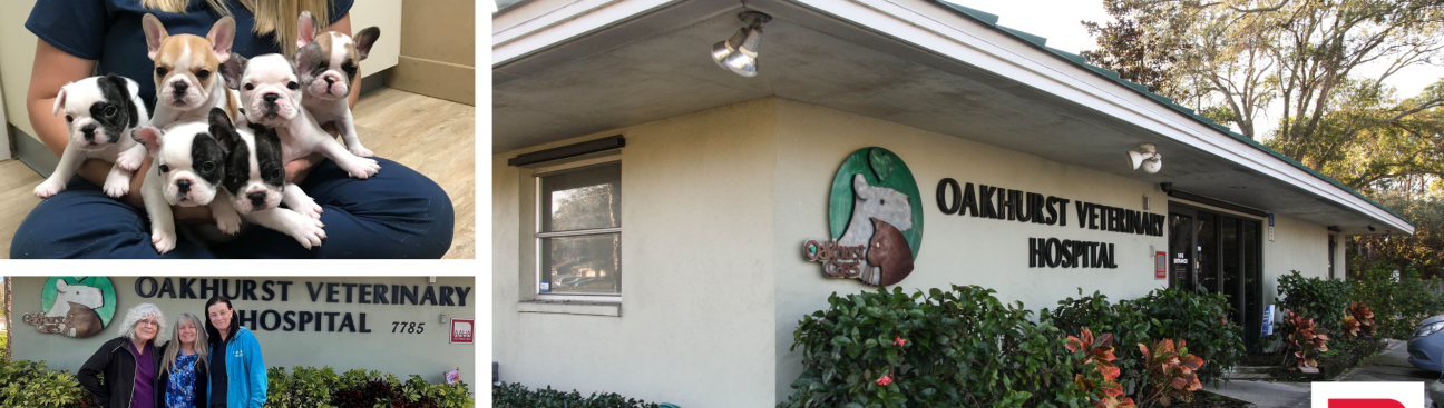 Oakhurst Veterinary Hospital's cover image