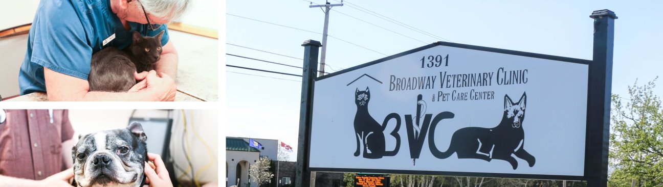 Broadway Veterinary Clinic's cover image