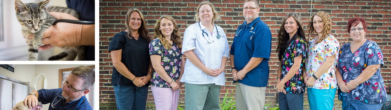 Skinner Animal Clinic's cover image