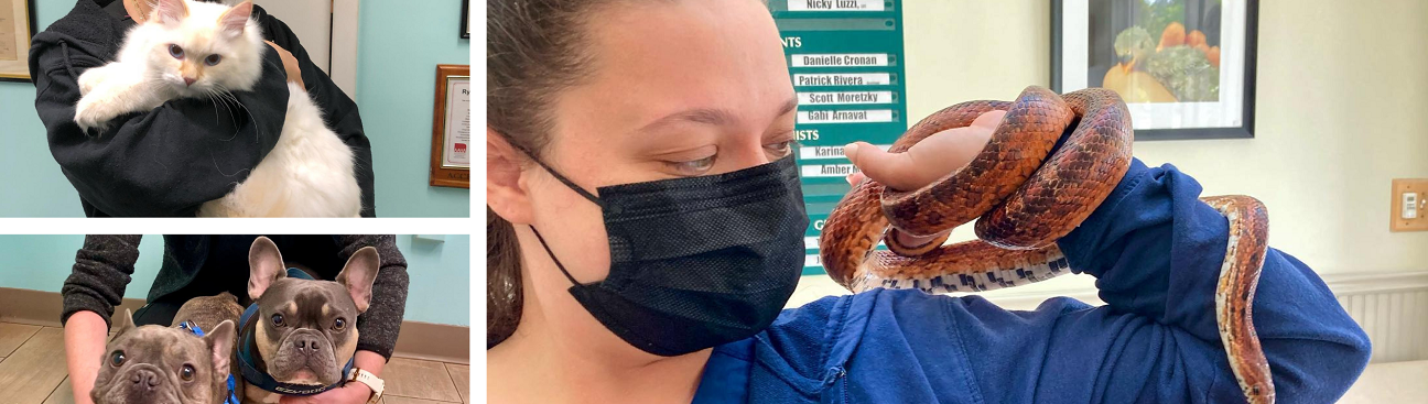 Sangaree Animal Hospital at Cane Bay's cover image