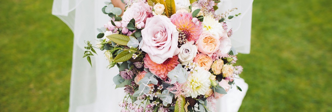 Persnickety Too's cover image