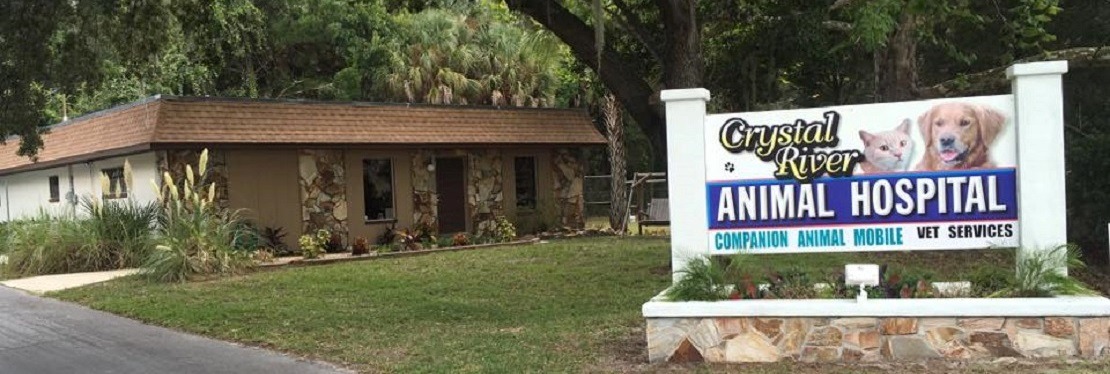 Crystal River Animal Hospital's cover image