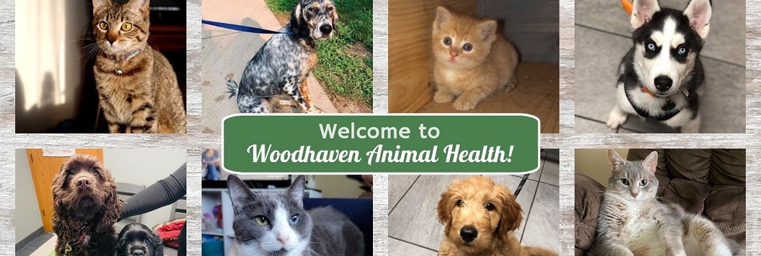Woodhaven Animal Health's cover image