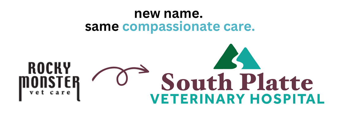 South Platte Veterinary Hospital's cover image
