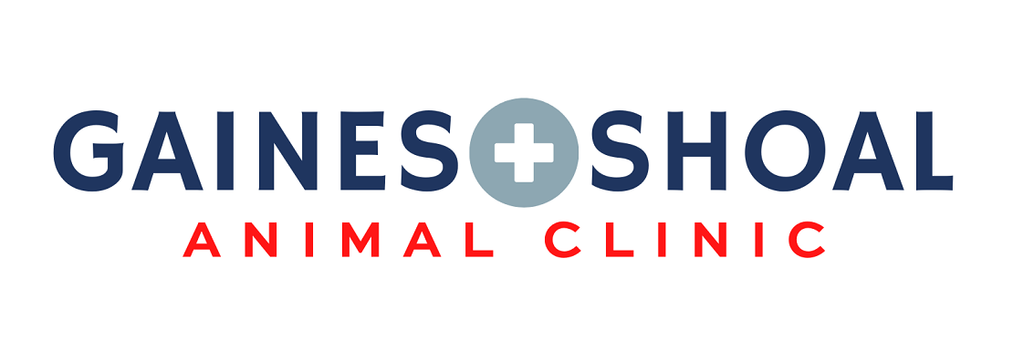 Gaines Shoal Animal Clinic's cover image