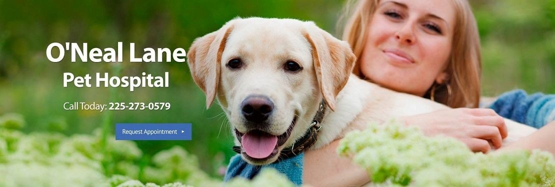 O'Neal Lane Pet Hospital's cover image