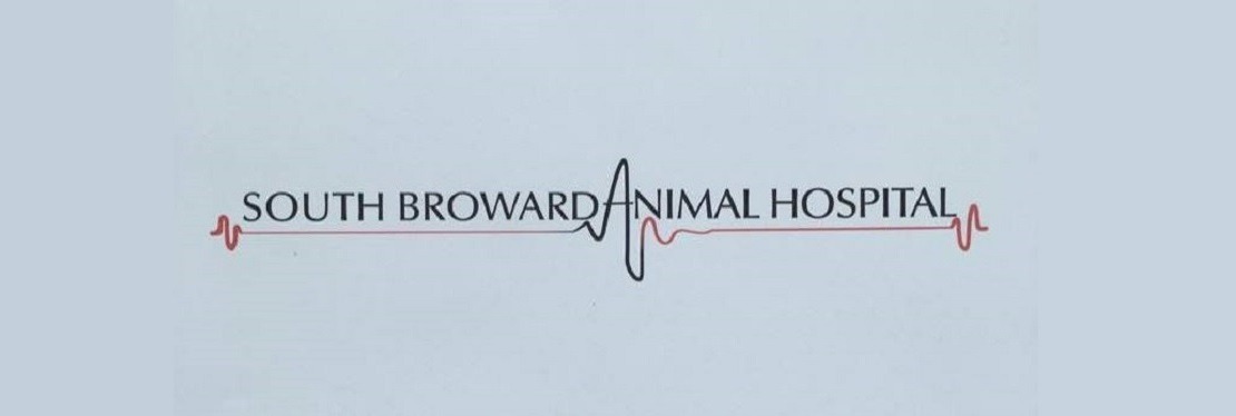 South Broward Animal Hospital's cover image