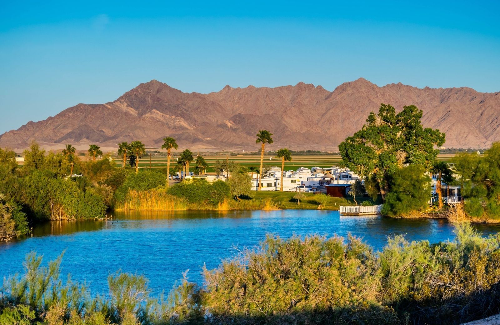 Southwestern Palliative Care Associates's cover image