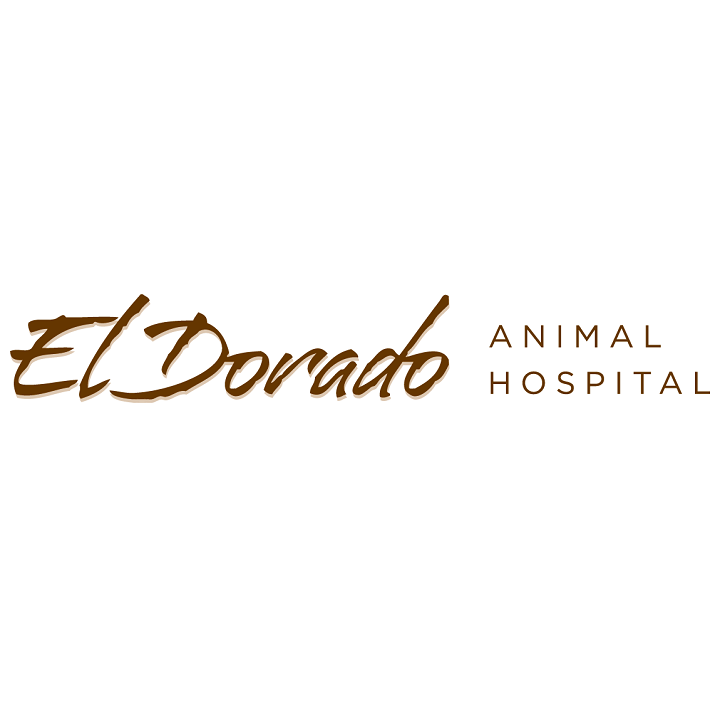 1. El Dorado Animal Hospital