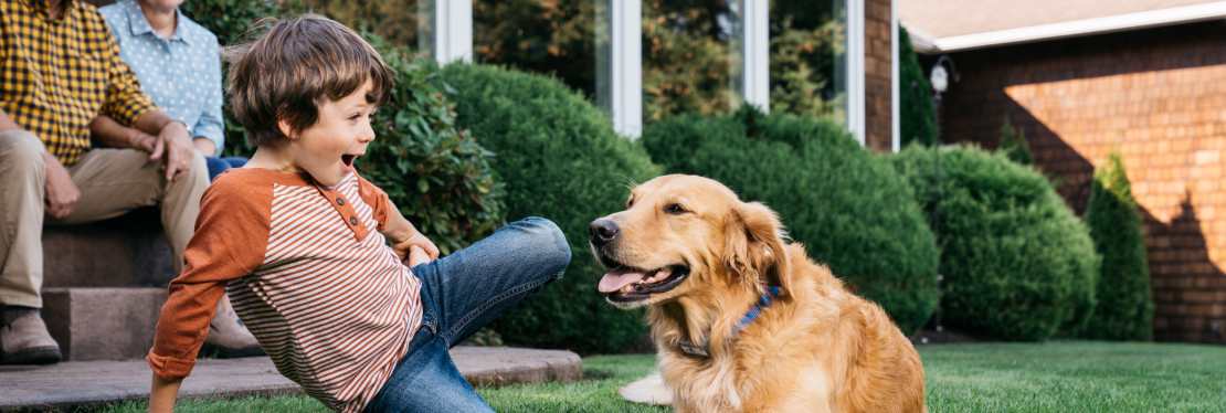 Dog Guard of Delmarva's cover image