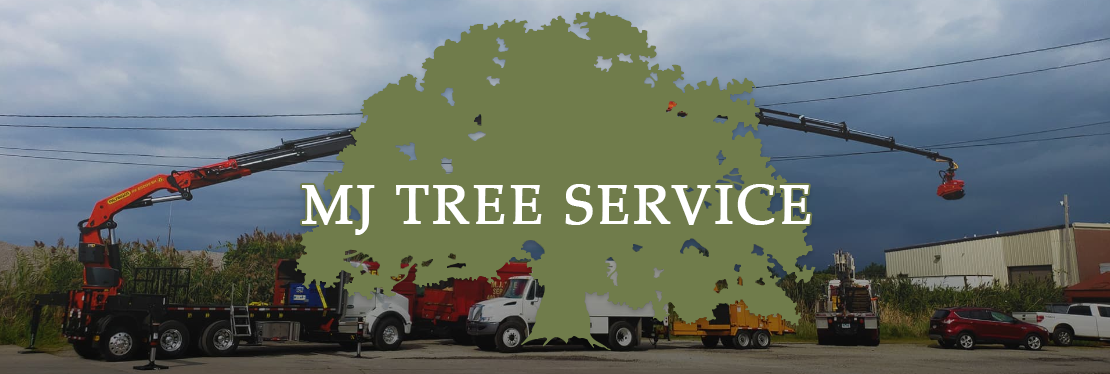 MJ Tree Service, Inc's cover image