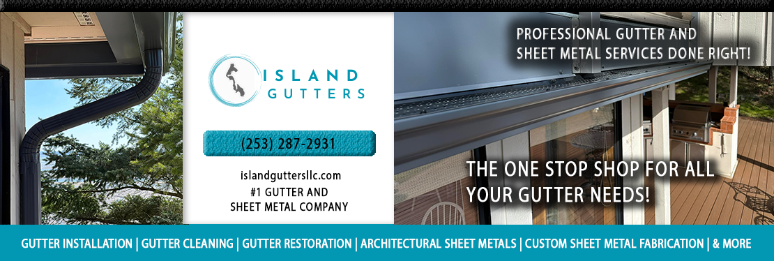 Island Gutters LLC's cover image