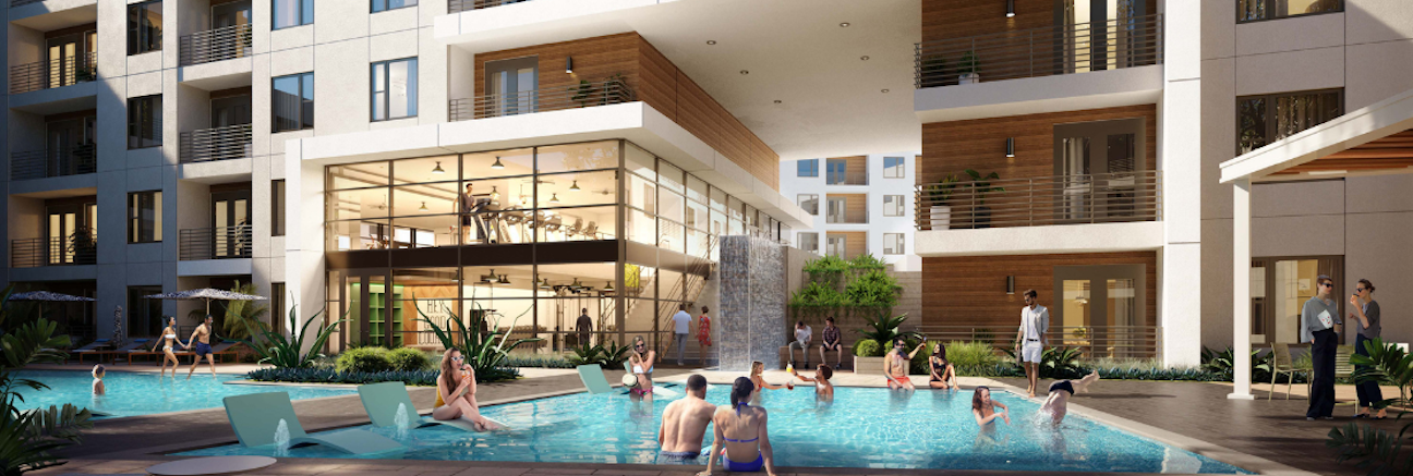 The Edition's cover image