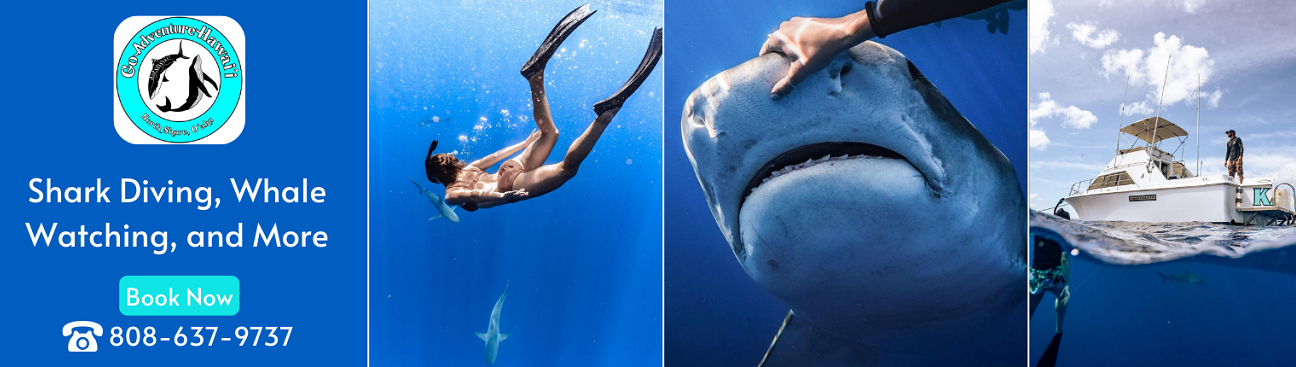 Go Adventure Hawaii's cover image