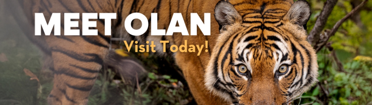 Palm Beach Zoo & Conservation Society's cover image