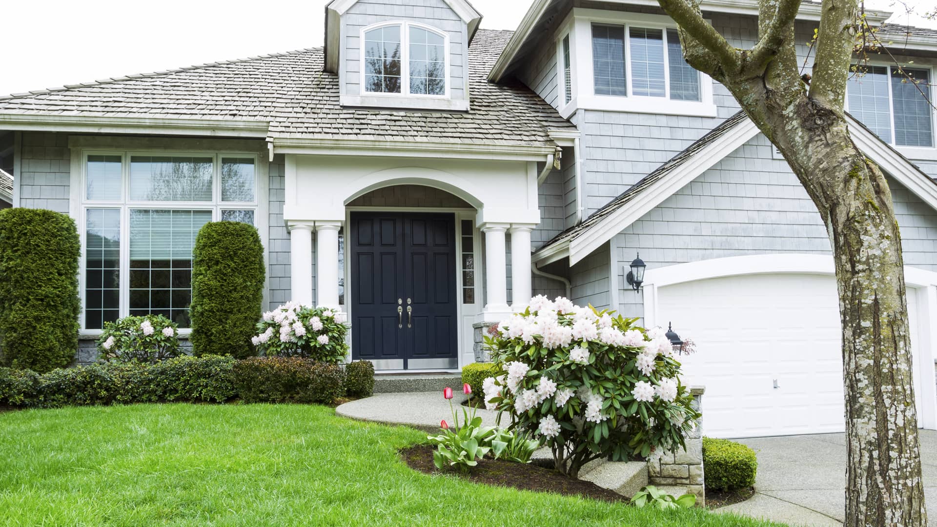 Oak Point Property Management LLC's cover image