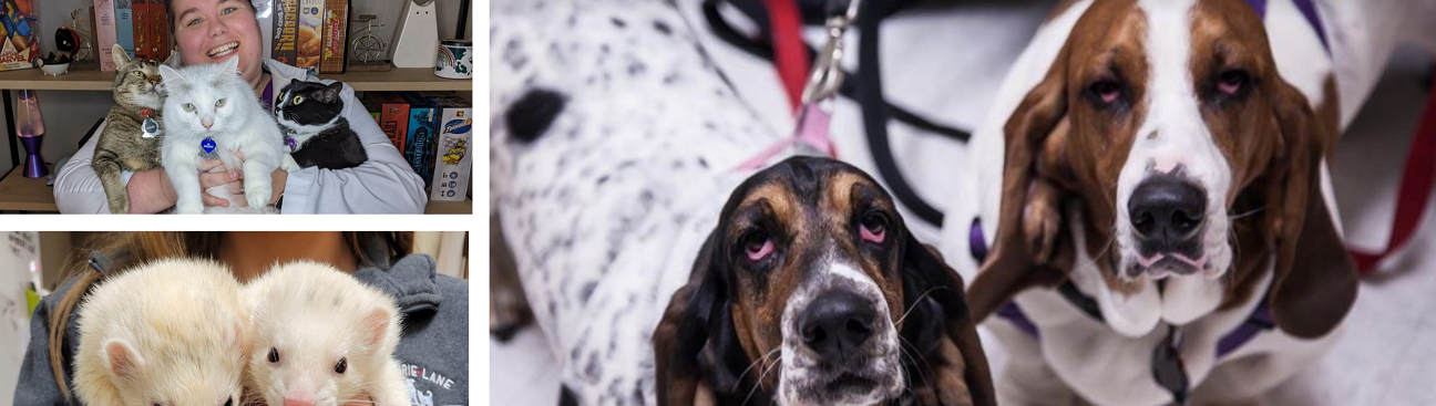 Prairie Lane Veterinary Hospital's cover image