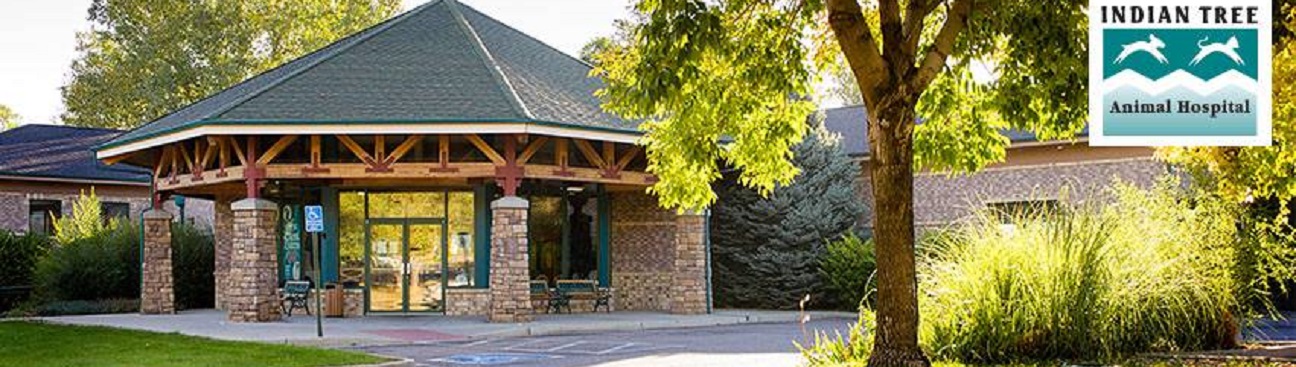 Indian Tree Animal Hospital's cover image