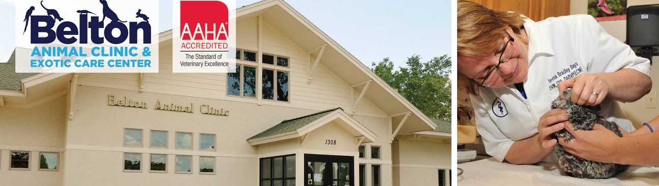 Belton Animal Clinic & Exotic Care Center's cover image