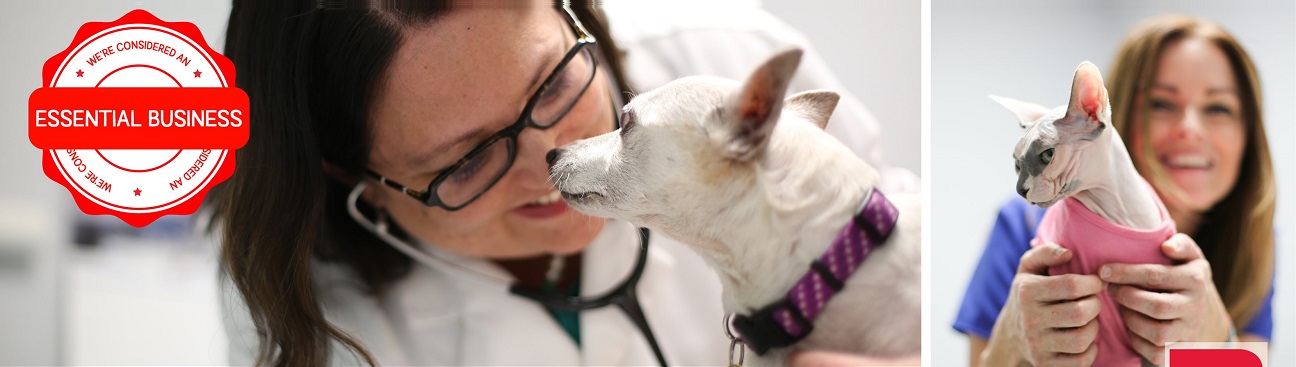 Animal Medical Clinic of Gulf Gate's cover image