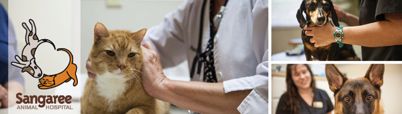 Sangaree Animal Hospital's cover image