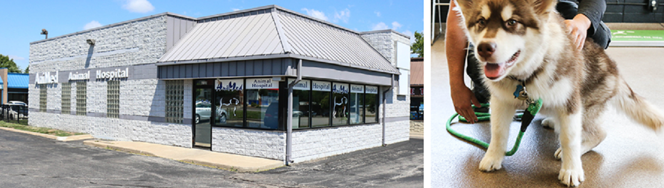 AniMed Animal Hospital's cover image