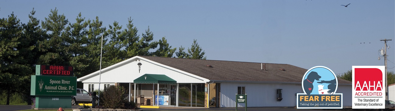 Spoon River Animal Clinic's cover image
