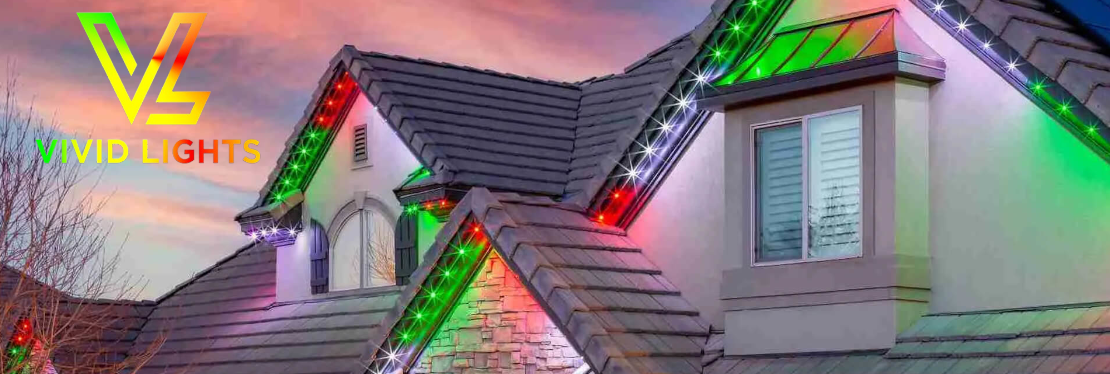 Vivid Lights LLC's cover image