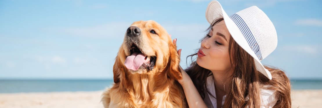 Bostic Veterinary Hospital's cover image