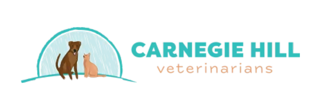 Carnegie Hill Veterinarians's cover image