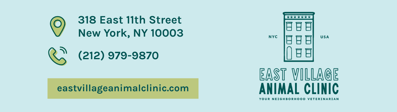 East Village Animal Clinic's cover image