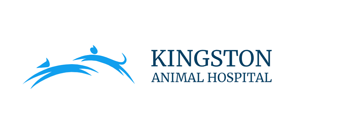 Kingston Animal Hospital's cover image