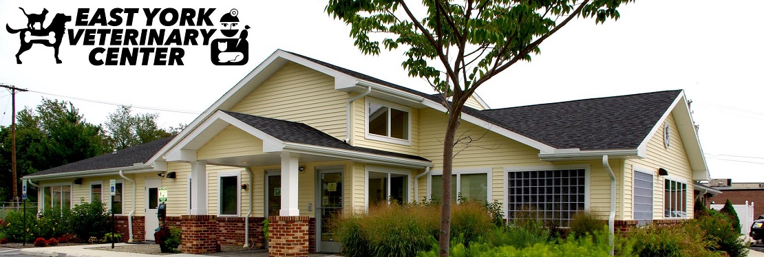 East York Veterinary Center's cover image