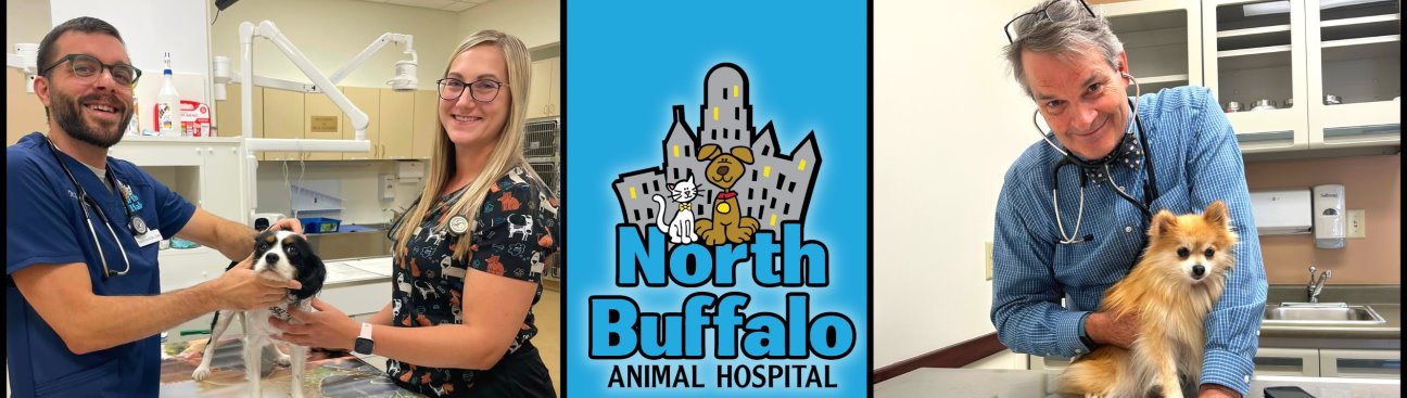 North Buffalo Animal Hospital's cover image