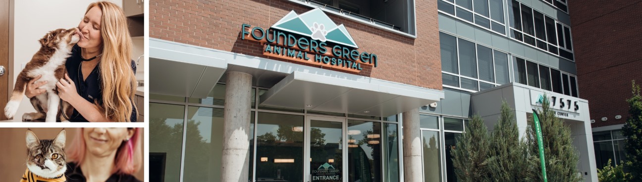 Founders Green Animal Hospital's cover image