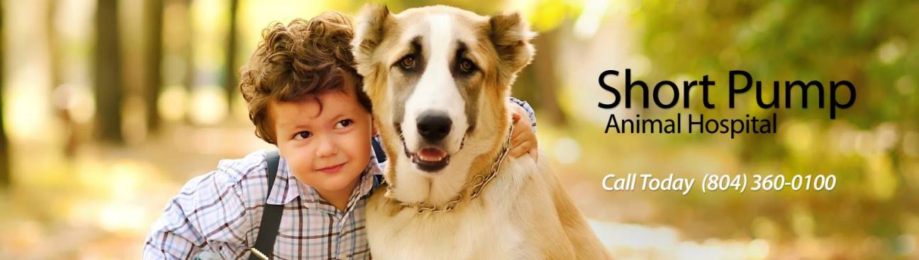 Short Pump Animal Hospital's cover image