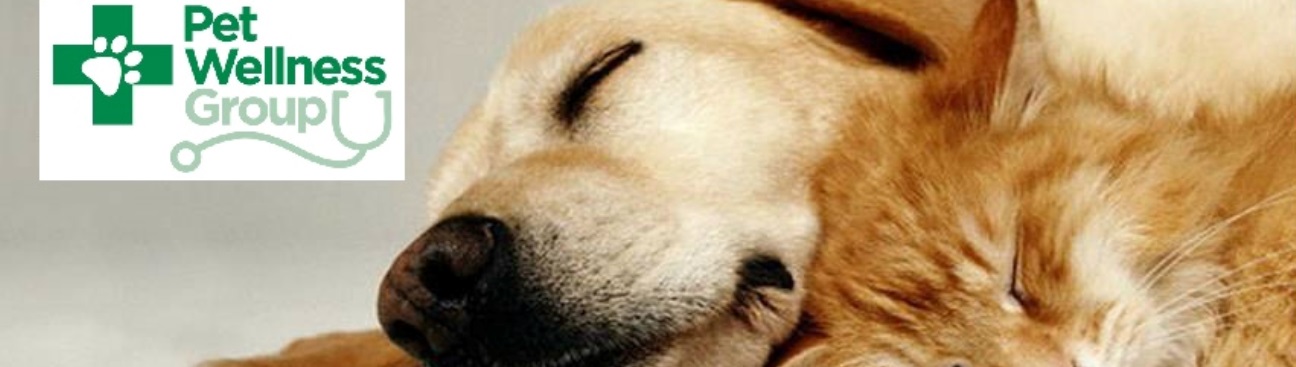 The Pet Wellness Group: Hebron's cover image