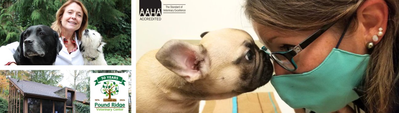 Pound Ridge Veterinary Center's cover image