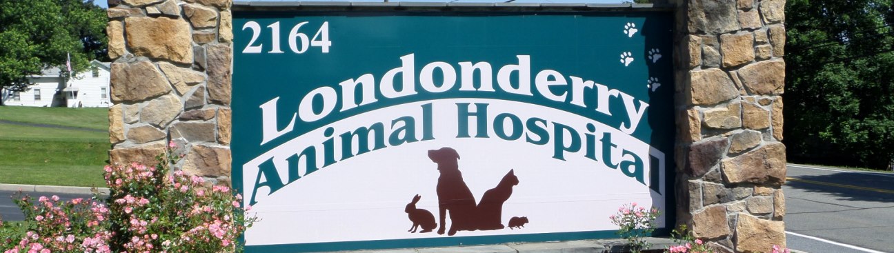 Londonderry Animal Hospital's cover image