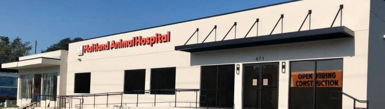 Maitland Animal Hospital's cover image